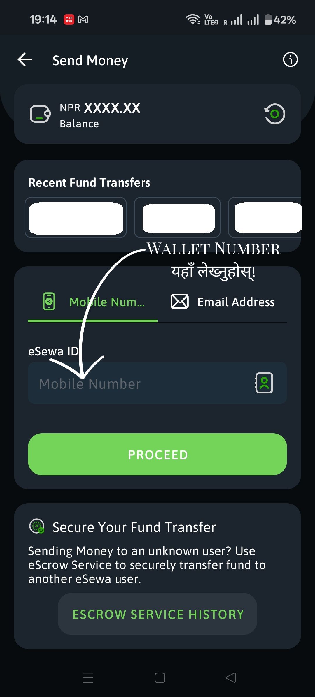 eSewa Send Money Page